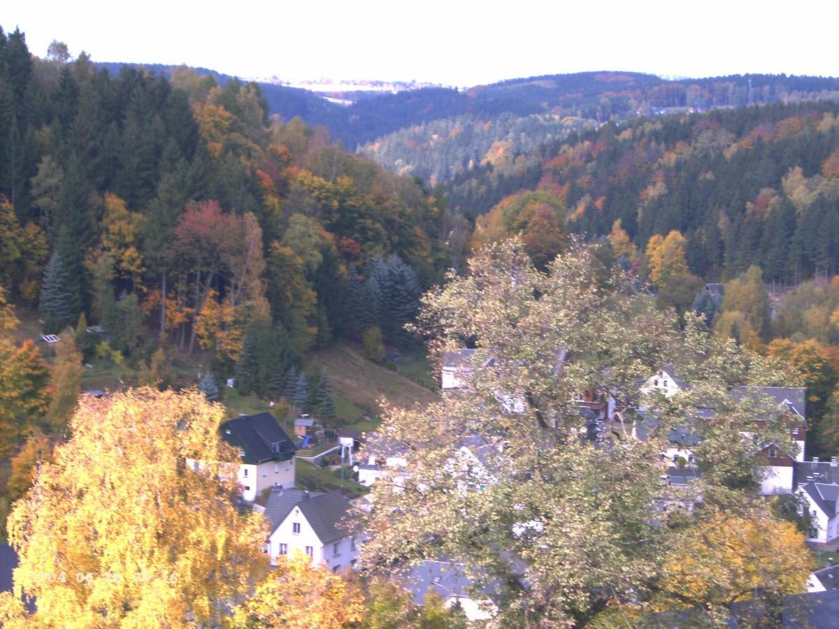 Ferienwohnung Erzgebirge - Pobershau - Mit Schoenem Ausblick, Ruhige, Beste Lage Eksteriør bilde